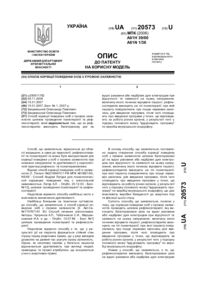 Завантаження...