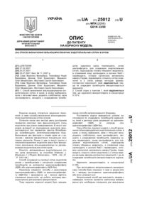 Завантаження...