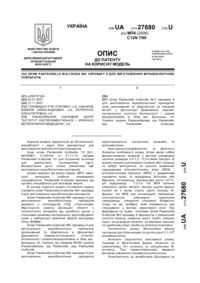 Завантаження...