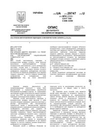 Завантаження...