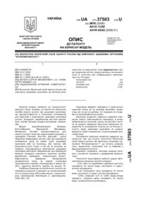 Завантаження...
