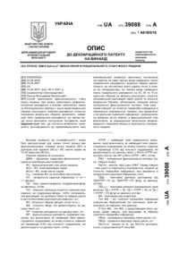Завантаження...